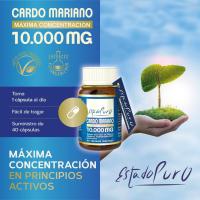 Tongil - Cápsulas de Cardo Mariano 10000mg 40 Cápsulas| Apoyo al Hígado y Metabolismo | Equilibrio Nutricional y Bienestar | Suplemento Alimenticio para la Desintoxicación - details 1
