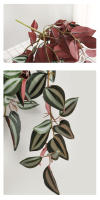 45cm Planta Artificial De Vínculo Hojas De Iva Falsas Scindapsus Aureus Rattan Para Decoración De Hogar Boda Jardín - details 9