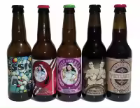 Pack Cerveza Nurse Premium 5 botellas y acceso exclusivo a Cata OnLine - details 0