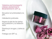 Atashi Antioxidante Crema Hidratante Regenerante SPF 15 | Piel Protegida, Suave, Hidratada y Elástica | Con Ácido Hialurónico y Antioxidantes | Hipoalergénica | Todo Tipo De Piel | 50 ml - details 0