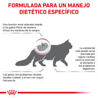 Royal Canin Veterinary Feline Renal Special - details 2