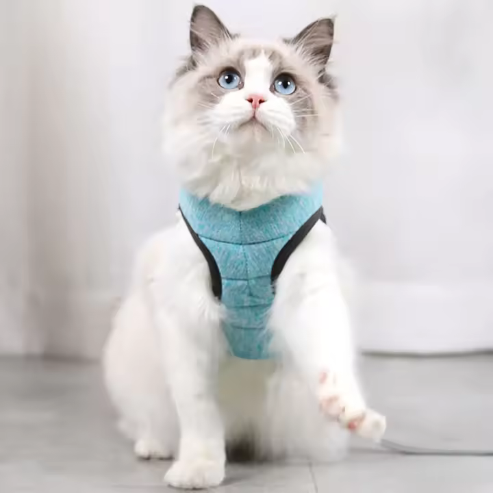 Almohadilla De Gato Para Caminar Prueba De Fuga Suave Ajustable Correa De Perro Y Collar Para Mascotas Ligero Y Resistente - 1