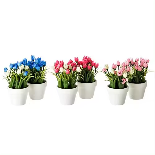 Set 6 Planta tulipán poliester en maceta de terracota-DAMDAM GO - 1
