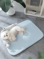 Nueva Alfombra Para Perros Y Gatos De Verano Con Diseño De Bicho Monstruo Grueso Y Ojos Grandes Almohada Para Mascotas Transpirable Y Fría Accesorios Para Mascotas - details 0
