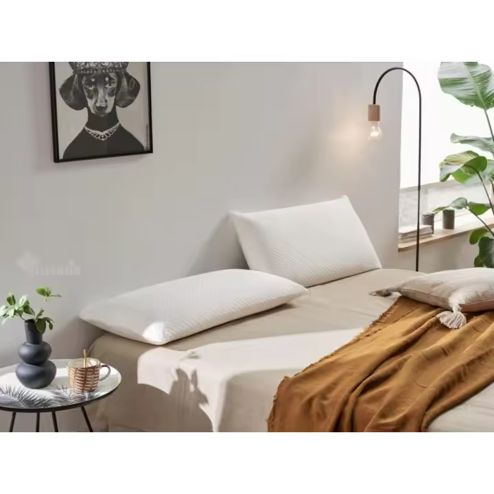 Almohada Viscoelástica Termosellada con Aloe Vera – Almohada Ergonómica para Sueño Saludable, Confort Óptimo y Soporte Perfecto para el Cuello y la Cabeza-Mommata - 1