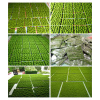 1PC Fondo De Pared Simulado En Moss Decoración De Plantas Artificiales Verde Para Arreglo Floral DIY Tablero De Esponja Para Decoración Del Hogar - details 3