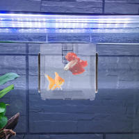 Caja De Cría De Acuario Acrílica Con Tapa Desmontable Para Pequeños Peces Y Cangrejos Incubador De Peces Con Malla Transparente Para Aislamiento - details 7