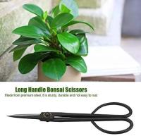 Tijeras De Bonsái Para Principiantes Con Mango Largo Herramientas De Jardinería Para Cortar Ramas Y Podar Plantas 20cm - details 3