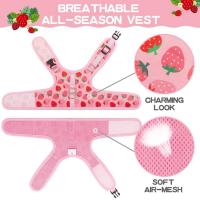 Juego De Correa Y Arnes Para Gato Seguro Ajustable Chaleco Para Gato Joven En Malla Transpirable Rosa Fácil Control Para Caminar Perro - details 4