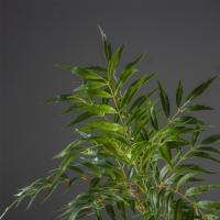 Arbol Artificial Grande De 78-140cm Hojas De Nandina Y Palma Real Tacto Planta De Bambú Falso Para Decoración De Jardín Oficina Y Hogar - details 9
