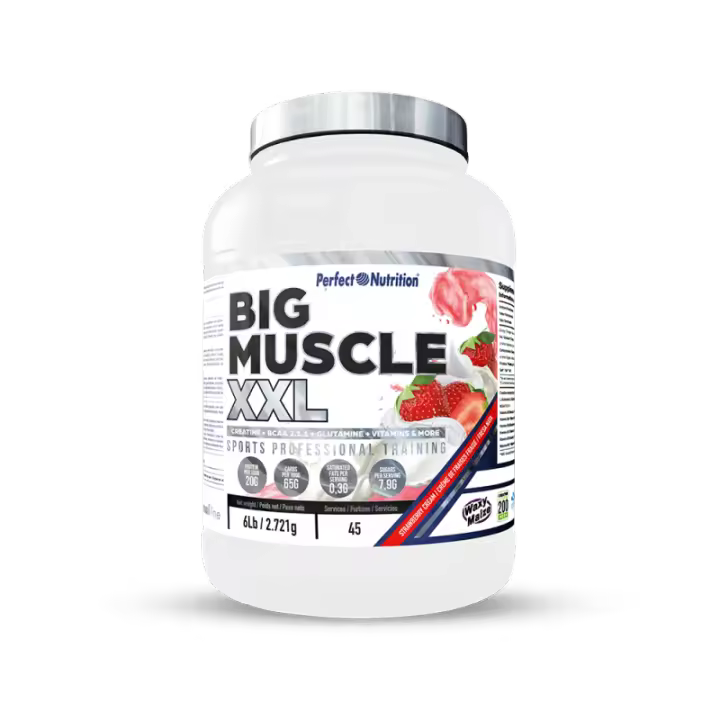 Big Muscle Xxl (2.7 kg) PERFECT NUTRITION - 1