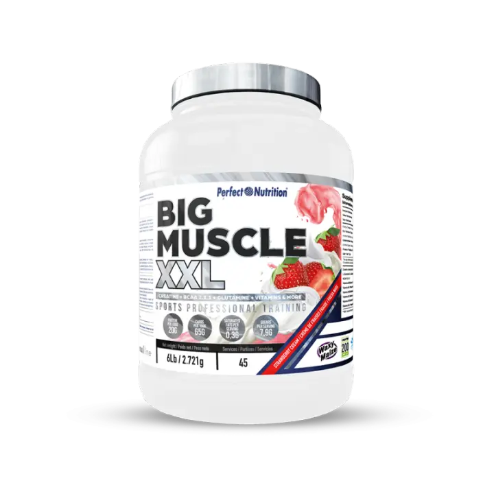 Big Muscle Xxl (2.7 kg) PERFECT NUTRITION - 1