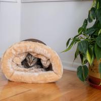 Bolsa De Dormir Para Gato De Otoño E Invierno Cálido Semi-abierto Para Pequeños Y Medianos Animales De Compaña Puede Ser Desmontado Y Lavado - details 4