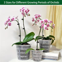 Macetas De Plástico Transparente Para Orchidées De 3 Tamaños 4.3in 5.5in Y 6.3in Con Agujeros Planter Breathable Para Repotear - details 3