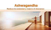 Ashwagandha Alta Potencia: Adaptógeno y Nootrópico con Sensoril® (10% Withanolidos) | Sueño Profundo, Bienestar General, Energía, Concentración | 4 Meses | 2x Más Concentrado que el KSM-66 |  NUTRIBRAIN - details 0