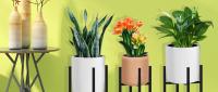 Soporte Ajustable Para Plantas Compatible Con Macetas De 12 a 16 Pulgadas Estructura Expansible De Metal Fácil De Montar Muebles Para Plantas - details 0