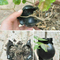 Juego De 6 Bolsas Para Raíces De Plantas S-l Alta Presión Caso De Cría En Jardinería Accesorios De Jardín Caja De Propagación De Plantas - details 5