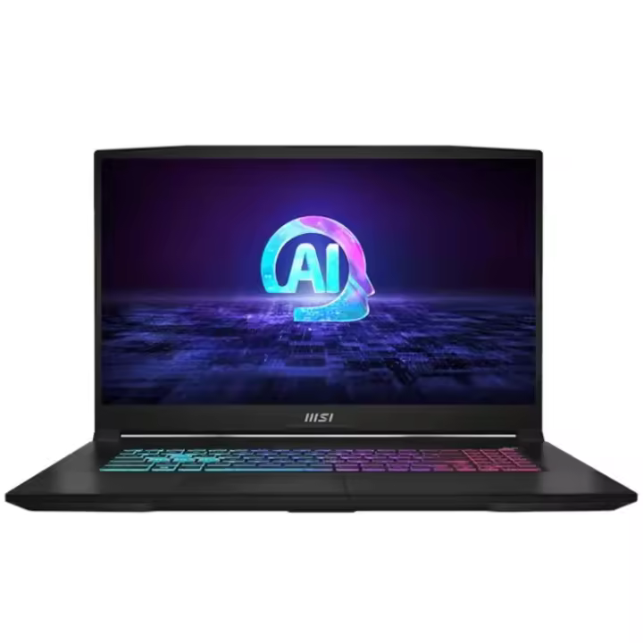 MSI Katana A17-875XES AMD R7-884HS 32 1TB 4060 DOS - 1
