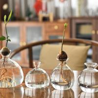 Kit De Crecimiento De Semillas De Agarrope Vaso De Vidrio Transparente Para Cultivo De Semillas Regalo Para Amantes Del Jardín Decoración Del Hogar Estilo Moderno - details 13