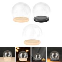 Juego De Domos De Vidrio Transparente Con Base De Madera Para Decoración De Casas De Muñecas Caja De Exhibición Protectora Micro Paisaje Soporte Para Colecciones - details 3