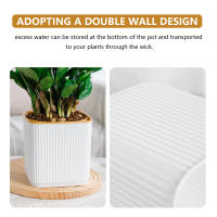 Vaso De Plástico Para Plantas Verdes En Sistemas De Riego Automático Moderno Para El Hogar Regalo Para Amantes Del Jardín Y Flores - details 6