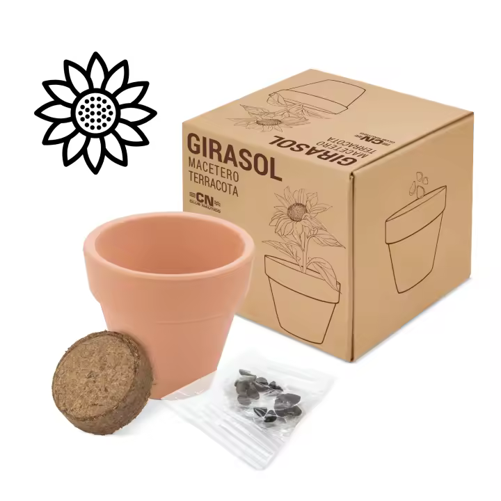 Disok - Lote de 20 Macetas Terracota Semillas Girasol - Detalles Bodas Originales Cumpleaños Navidades Regalos - 1