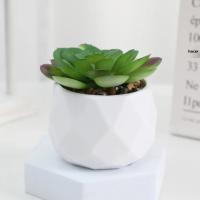 Plantas De Suculentas Artificiales Mini Bonsai Evergreen Cactus Simulación Decoración Para Interiores Plástico Inalámbrico - details 4