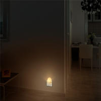 Lámpara Nocturna LED ZEYEILY Con Sensor De Luz Para Pasillo Dormitorio Garage Corredor Cocina Enchufe EU/US Incluido - details 11