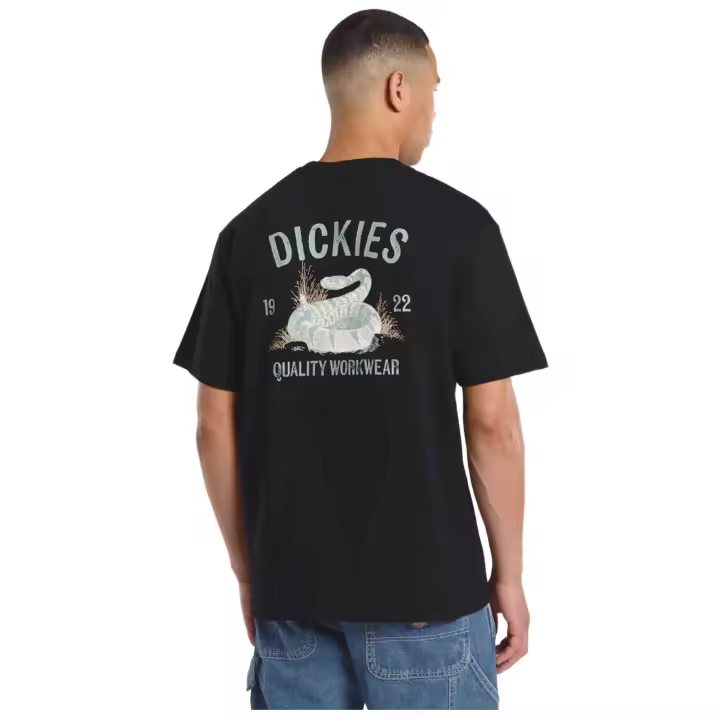 Camisetas De Manga Corta Dickies para Hombre en color Negro - 1