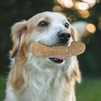 Juguetes Para Morder De Nylon Tejido En Red Para Perros Pequeños Y Medianos Anti-Rotura Suaves Para Aliviar La Ansiedad Y Aburrimiento - details 9