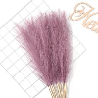 5/10Pcs Bouquet De Pampas Artificiales Flores De Reed Para Decoración De Hogar Jardín Boda Y Fiestas Internas Y Externas - details 17