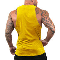 Camiseta De Gimnasio Casual Transpirable Para Hombres Con Malla Secado Rápido Tops De Entrenamiento Sin Mangas Para Fitness Y Correr - details 16