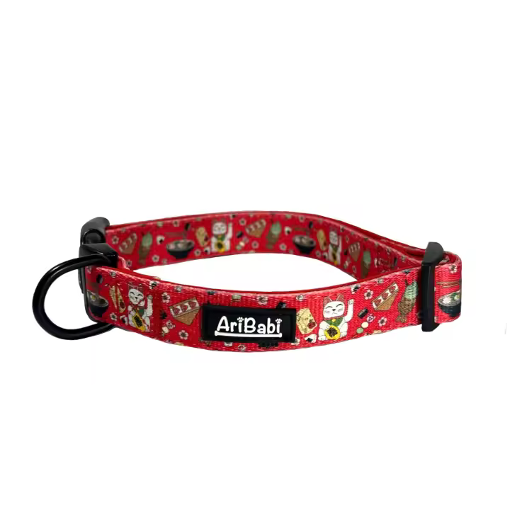 Collar Ajustable Tokio - 1