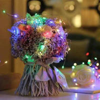 Luces De Cadena LED USB 5M De Hilo Plateado Garland Impermeable Para Decoración De Fiesta Navidad Boda Y Vacaciones - details 9