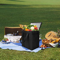 Bolsa Térmica Portátil Para Alimentos Y Camping Bolsa De Almacenamiento Ligera Plegable Para Comidas Picnic Y Suministros De Camping - details 6