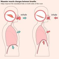 Entrenador De Musculatura Facial De Silicona Elevador Y Engrosador De Mandíbula Eliminador De Doble Mentón Respirador De Entrenamiento - details 2