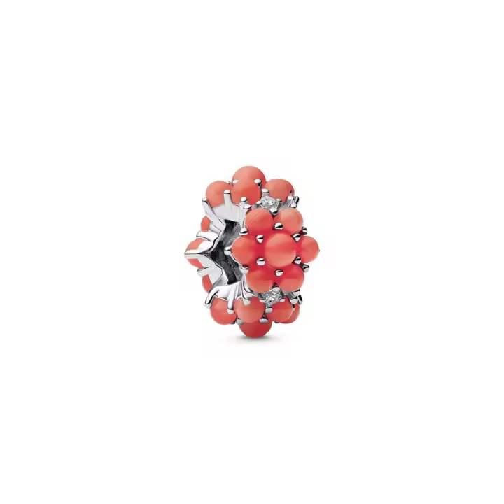 793897C01 - Charm Océano Color Coral en Plata de Ley con Circonitas – Pandora Moments 793897C01 PANDORA Raíz Novedades Joyas de Plata Joyas Pandora MUJER inicio Charm Pandora Mujer Pandora Original - 1