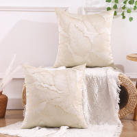 Funda De Cojín Nórdica De Lujo Con Precisión Moderna Y Minimalista Para Decoración Del Salón 100% Poliéster Cubierta De Almohada - details 9