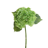 Ramo Artificial De Hiedra Euforbia Azul Toque Real Para Decoración De Bodas Arreglo Floral Interior Y Exterior - details 5