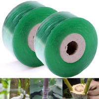 Cinta De Enraizamiento Para Árboles De Fruta Herramientas De Jardín PVC Biodegradable Para Encaje De Ramas Y Amarrar - details 0