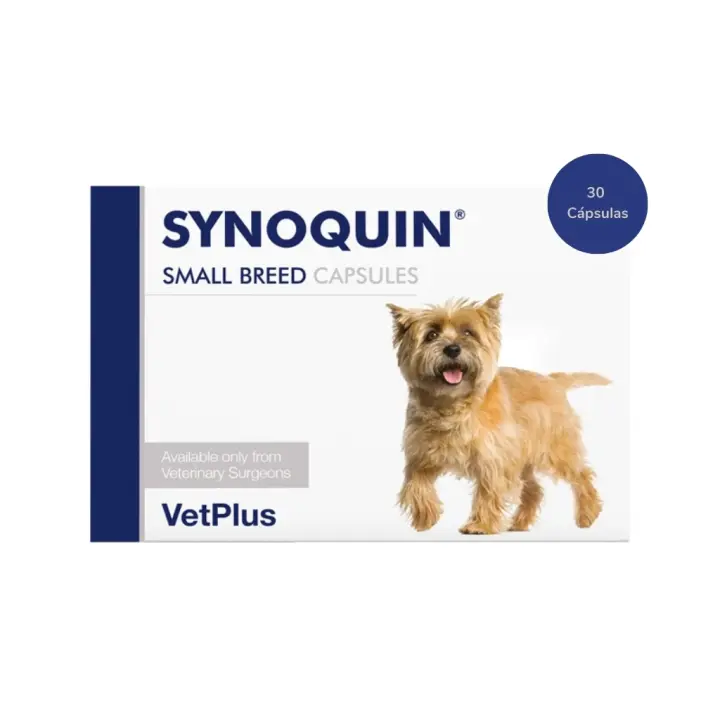 VETPLUS - Synoquin - Condroprotector para Perros de Raza Pequeña de &lt;10 kg (Cápsulas) - 1