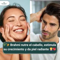 POLVO DE BRAHMI  BIO Orgánico  + Plasticidad cognitiva, Memoria, Concentración, Tranquilizante, Equilibrio emocional, Ayuda digestiva y para dormir  100gr x 1 - details 0
