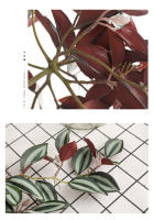 45cm Planta Artificial De Vínculo Hojas De Iva Falsas Scindapsus Aureus Rattan Para Decoración De Hogar Boda Jardín - details 8