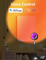 Lámpara de Pie RGB con Control Remoto de Aplicación, Proyección de Arco Iris, Luz de Atenuador y Transmisión en Vivo - details 14