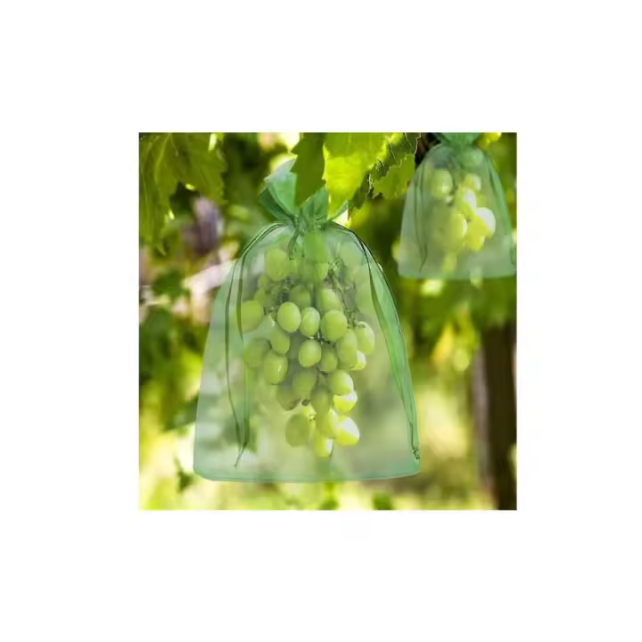 100 Uds Bolsa De Protección De Manojo 23x17cm Bolsa De Fruta De Uva De Organza Con Cordón - Verde - 1