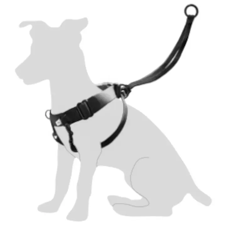 Arnes Easy Walker L 40-58  cm - 1