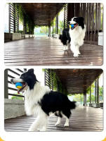 Bola De Goma Para Perros Resistente a Mordeduras Con Sabor a Carne Para Entrenamiento Y Diversion️ Juguetes Para Perros Para Evitar Daños - details 6