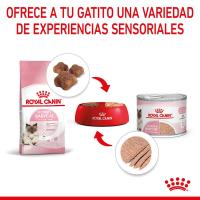 12 x 195 g - Royal Canin Mother & Babycat Mousse   Alimento Completo para Gatos  Especial para gatas Madres y Sus Cachorros  para reforzar Las defensas del organismo - details 4