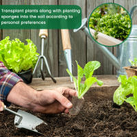 50/100Pcs Esponjas De Crecimiento De Semillas Reemplazo Para Raíces Esponjas De Cultivo Hidroponico Para Plantas Germinantes En Jardín - details 4