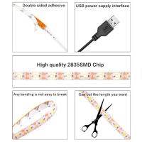 Tiras De Luz LED USB 5V SMD2835 Blancas Y Cálidas Para Iluminación Detrás De La TV Decoración De Hogar Cinta De Luz 1M 2M 3M 5M - details 3
